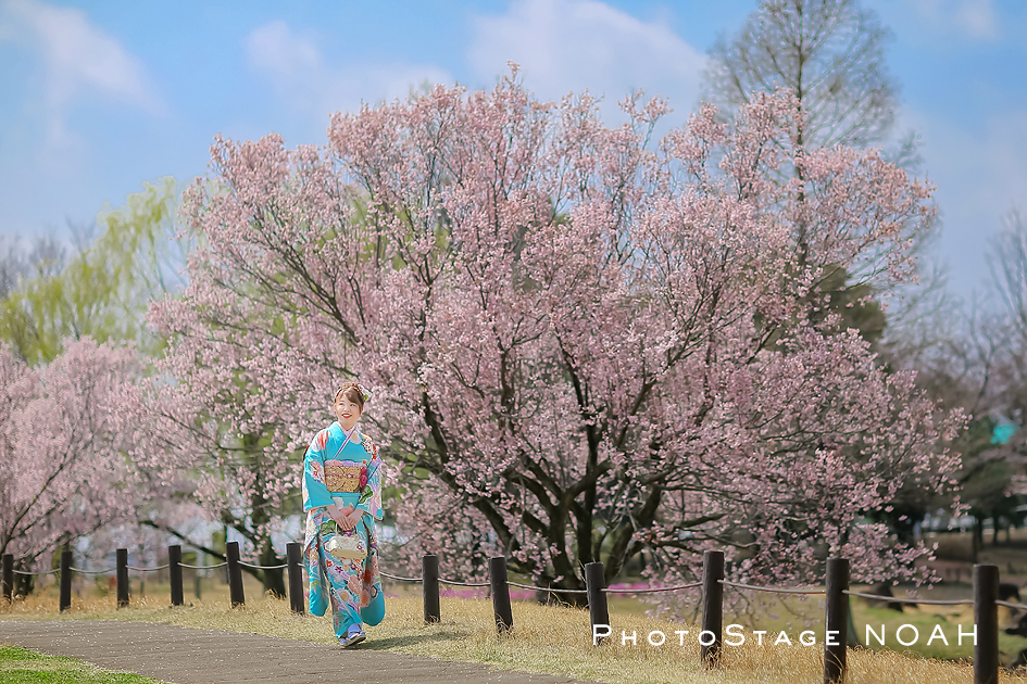 桜と一緒に撮る成人式のお写真
