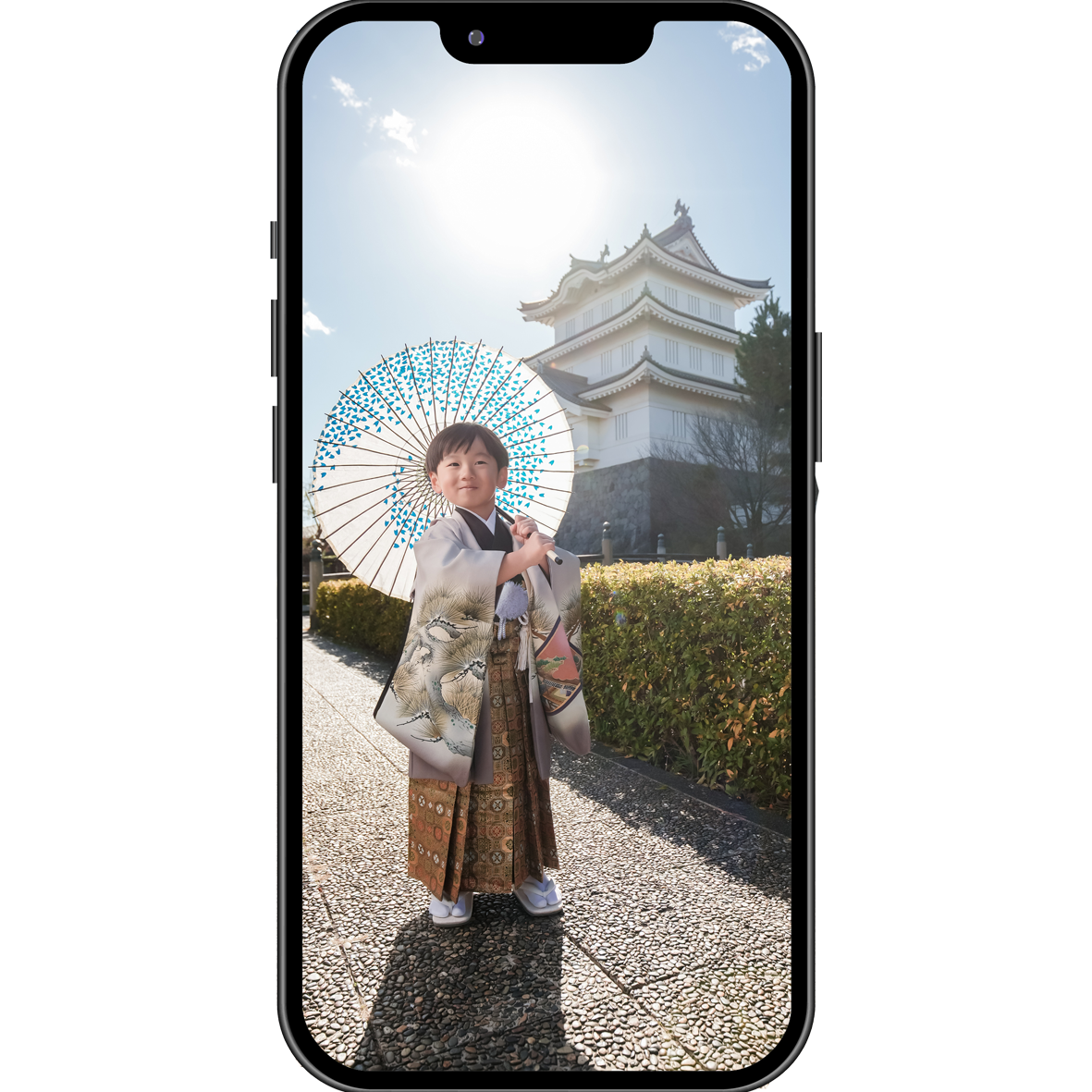 データプラス